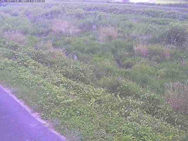 佐陀川３（河岡下流）2026/07/14 15:20:00
