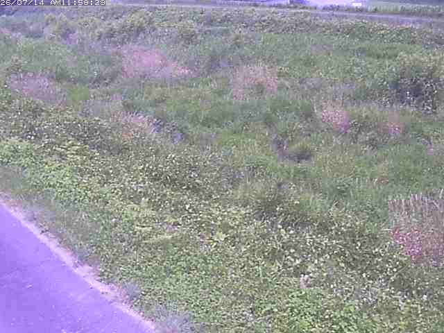 佐陀川３（河岡下流）2026/07/14 15:20:00