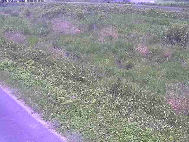 佐陀川３（河岡下流）2026/07/14 15:20:00