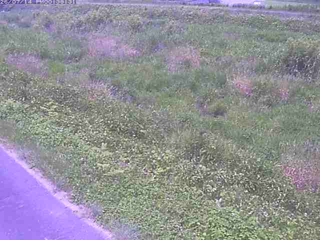 佐陀川３（河岡下流）2026/07/14 15:20:00
