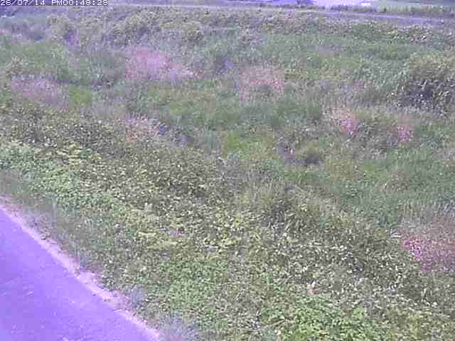 佐陀川３（河岡下流）2026/07/14 15:20:00