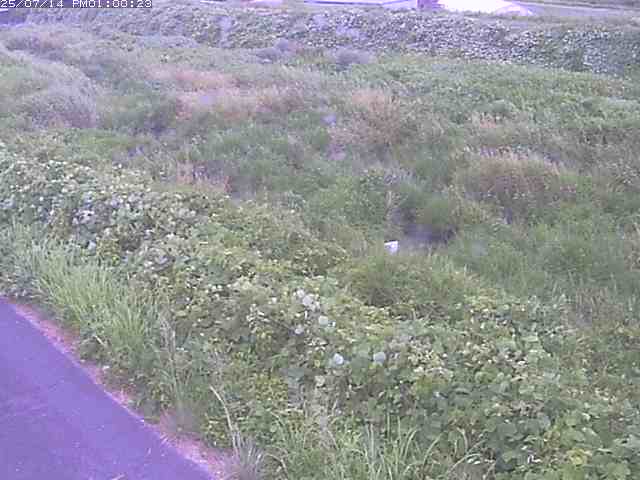 佐陀川３（河岡下流）2026/07/14 15:20:00