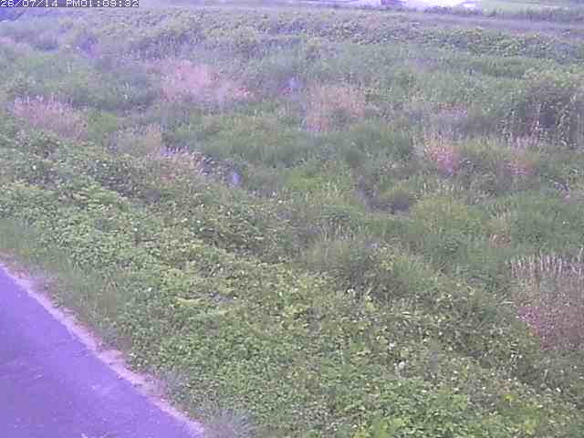 佐陀川３（河岡下流）2026/07/14 15:20:00