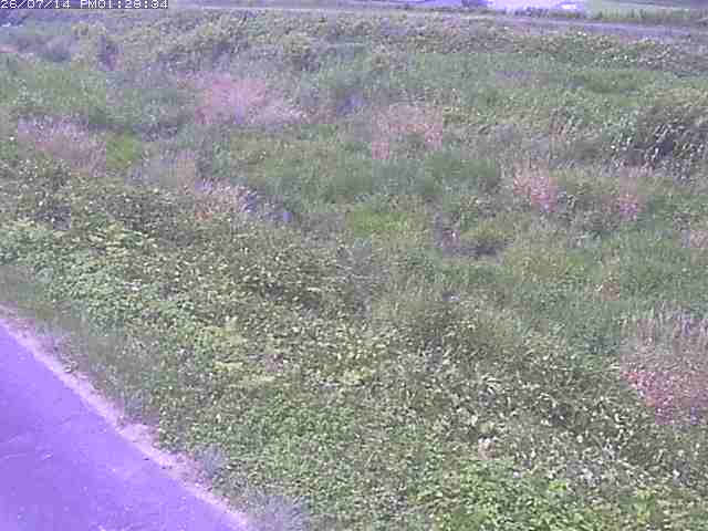 佐陀川３（河岡下流）2026/07/14 15:20:00