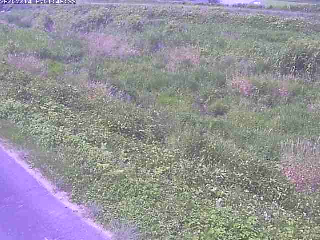 佐陀川３（河岡下流）2026/07/14 15:20:00