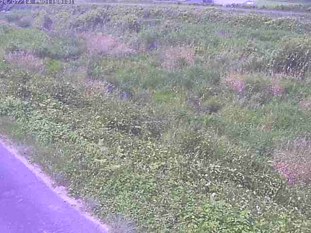 佐陀川３（河岡下流）2026/07/14 15:20:00