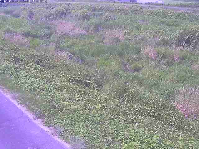 佐陀川３（河岡下流）2026/07/14 15:20:00