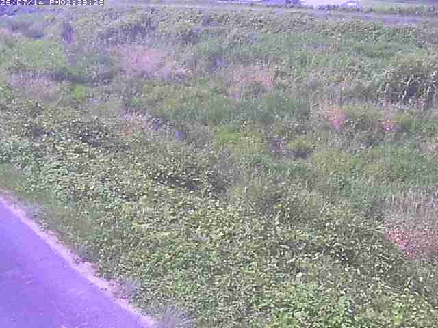 佐陀川３（河岡下流）2026/07/14 15:20:00