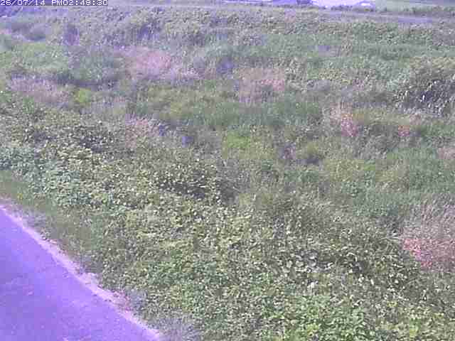 佐陀川３（河岡下流）2026/07/14 15:20:00