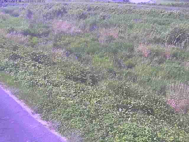 佐陀川３（河岡下流）2026/07/14 15:20:00