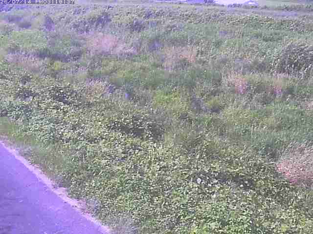 佐陀川３（河岡下流）2026/07/14 15:20:00