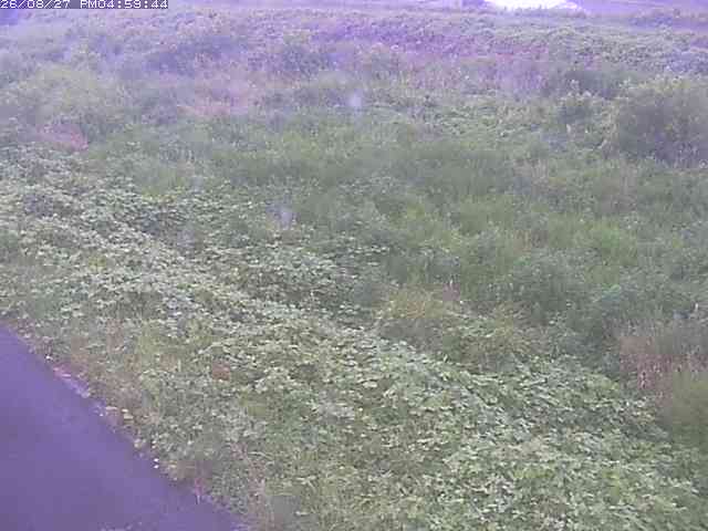 佐陀川３（河岡下流）2026/08/28 17:30:00