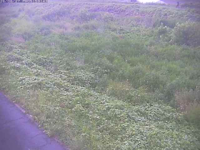佐陀川３（河岡下流）2026/08/28 17:30:00