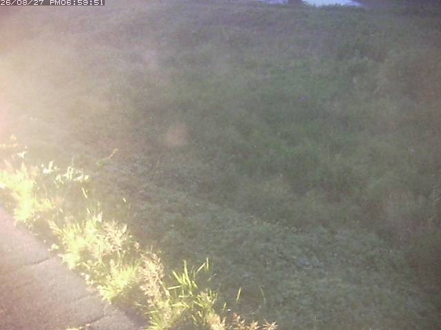 佐陀川３（河岡下流）2026/08/28 17:30:00