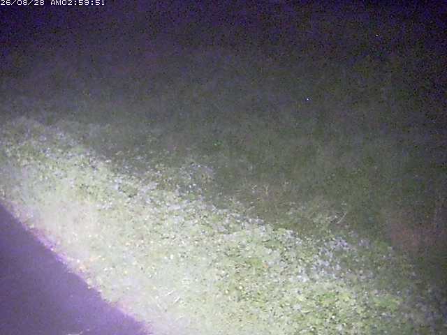 佐陀川３（河岡下流）2026/08/28 17:30:00