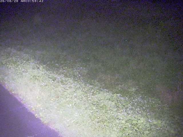 佐陀川３（河岡下流）2026/08/28 17:30:00