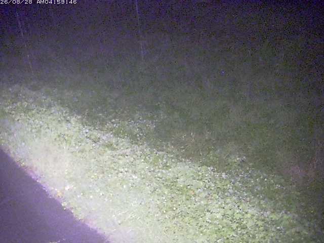 佐陀川３（河岡下流）2026/08/28 17:30:00