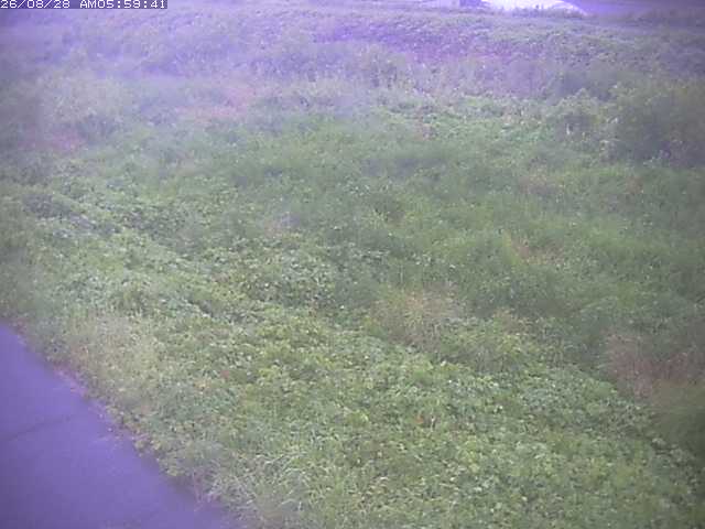 佐陀川３（河岡下流）2026/08/28 17:30:00