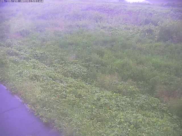 佐陀川３（河岡下流）2026/08/28 17:30:00