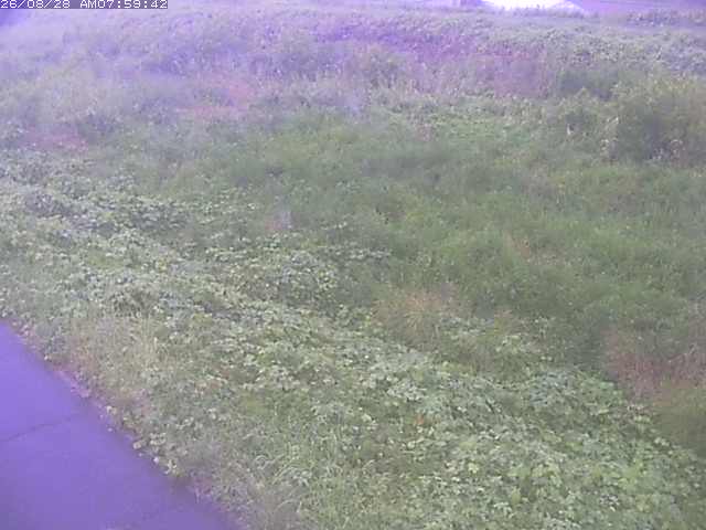 佐陀川３（河岡下流）2026/08/28 17:30:00