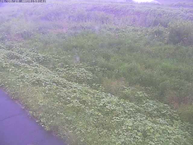 佐陀川３（河岡下流）2026/08/28 17:30:00