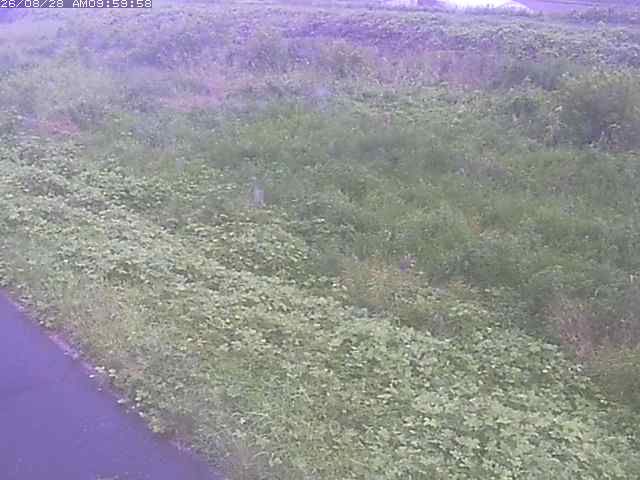 佐陀川３（河岡下流）2026/08/28 17:30:00