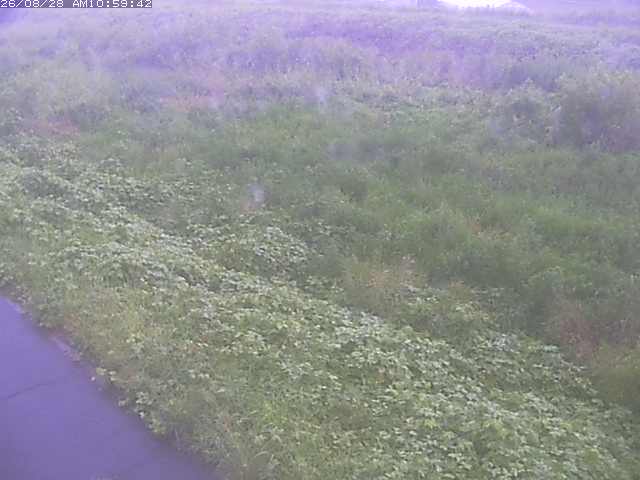 佐陀川３（河岡下流）2026/08/28 17:30:00