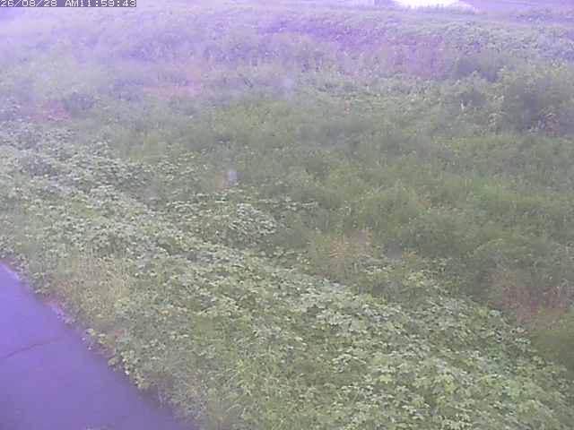 佐陀川３（河岡下流）2026/08/28 17:30:00