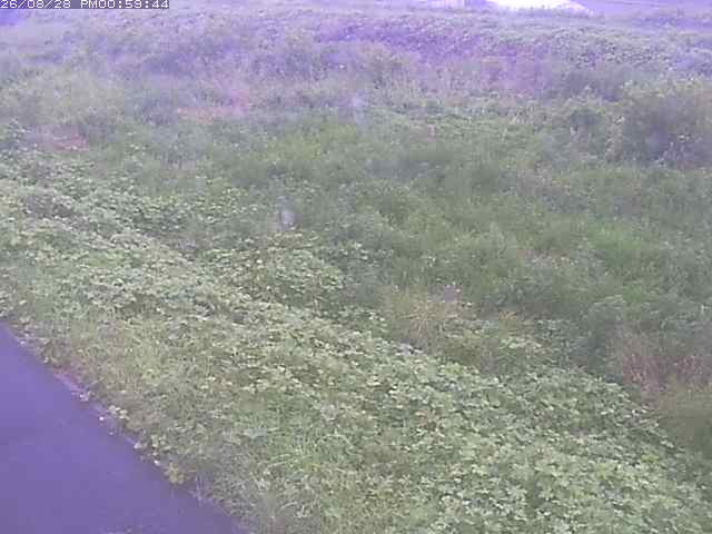 佐陀川３（河岡下流）2026/08/28 17:30:00
