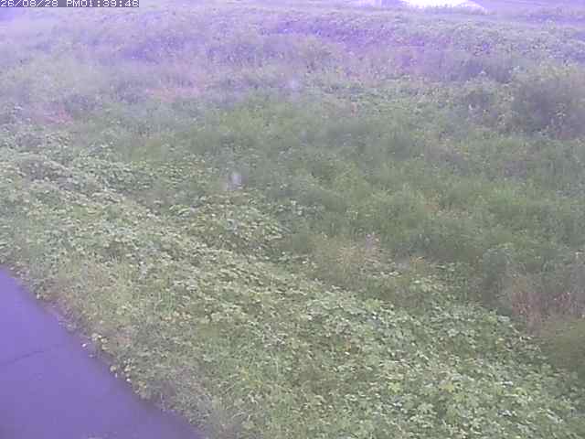 佐陀川３（河岡下流）2026/08/28 17:30:00