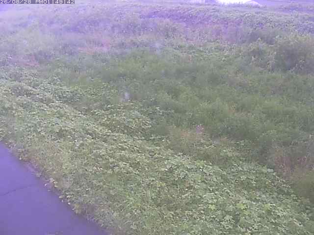佐陀川３（河岡下流）2026/08/28 17:30:00