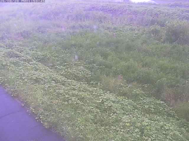 佐陀川３（河岡下流）2026/08/28 17:30:00