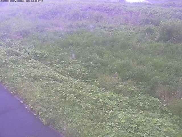 佐陀川３（河岡下流）2026/08/28 17:30:00