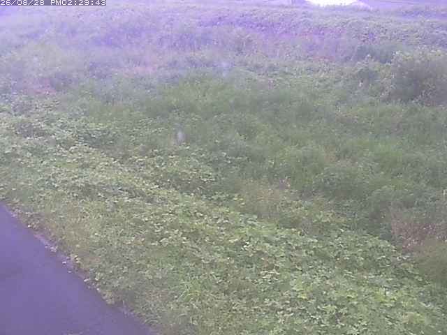 佐陀川３（河岡下流）2026/08/28 17:30:00