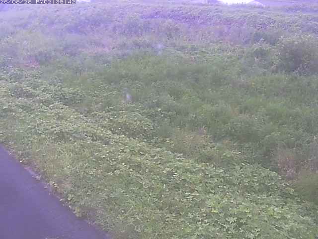 佐陀川３（河岡下流）2026/08/28 17:30:00