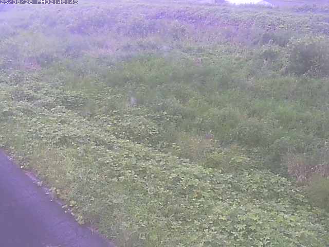 佐陀川３（河岡下流）2026/08/28 17:30:00