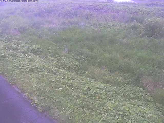 佐陀川３（河岡下流）2026/08/28 17:30:00