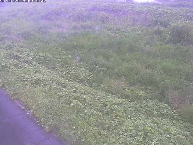 佐陀川３（河岡下流）2026/08/28 17:30:00