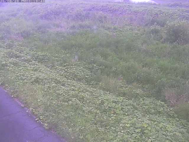 佐陀川３（河岡下流）2026/08/28 17:30:00