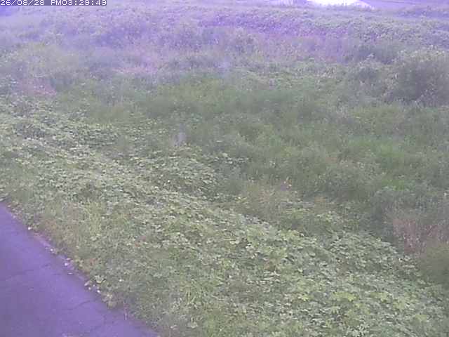 佐陀川３（河岡下流）2026/08/28 17:30:00