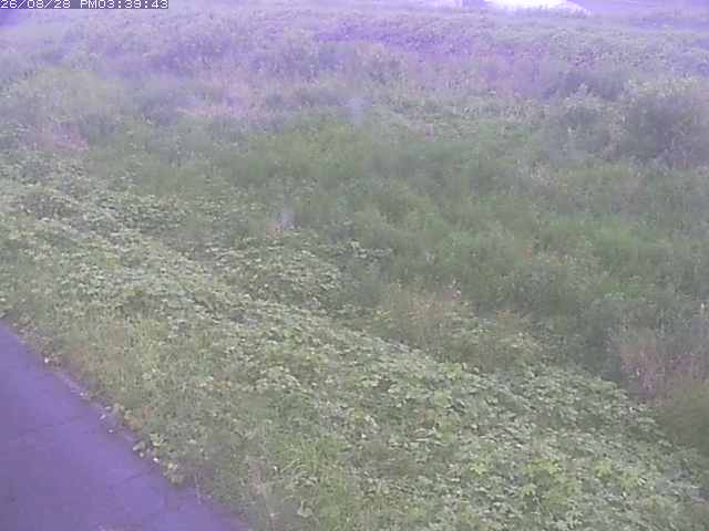 佐陀川３（河岡下流）2026/08/28 17:30:00
