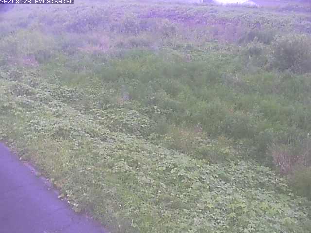 佐陀川３（河岡下流）2026/08/28 17:30:00