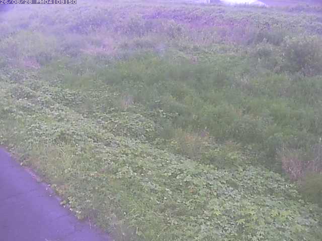 佐陀川３（河岡下流）2026/08/28 17:30:00