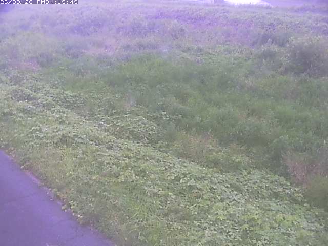 佐陀川３（河岡下流）2026/08/28 17:30:00