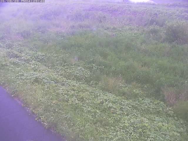 佐陀川３（河岡下流）2026/08/28 17:30:00