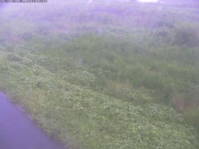 佐陀川３（河岡下流）2026/08/28 17:30:00