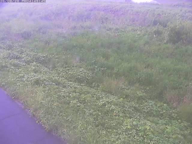 佐陀川３（河岡下流）2026/08/28 17:30:00