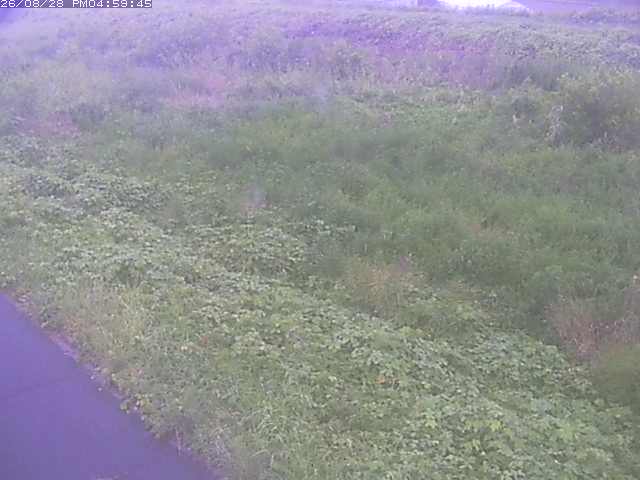 佐陀川３（河岡下流）2026/08/28 17:30:00