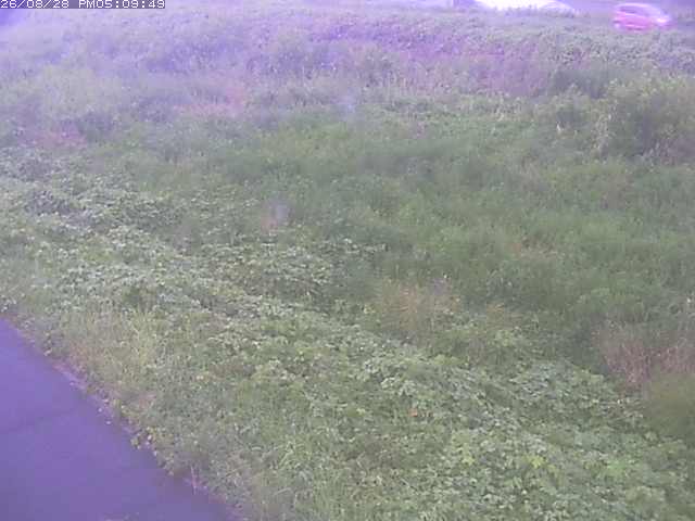 佐陀川３（河岡下流）2026/08/28 17:30:00