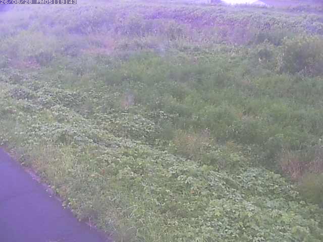 佐陀川３（河岡下流）2026/08/28 17:30:00